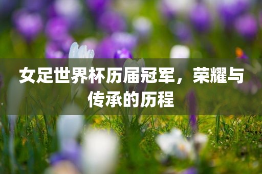 女足世界杯历届冠军，荣耀与传承的历程
