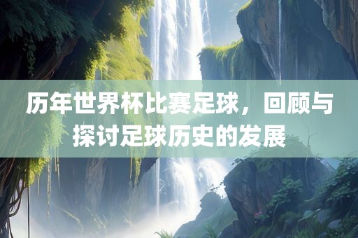 历年世界杯比赛足球，回顾与探讨足球历史的发展漯河市盈旭机械设备有限公司