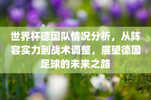 世界杯德国队情况分析，从阵容实力到战术调整，展望德国足球的未来之路漯河市盈旭机械设备有限公司
