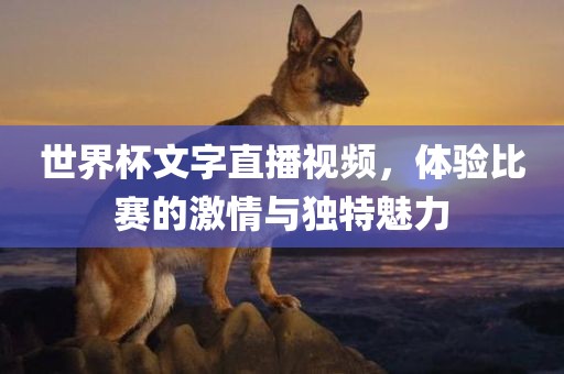 世界杯文字直播视频，体验比赛的激情与独特魅力漯河市盈旭机械设备有限公司