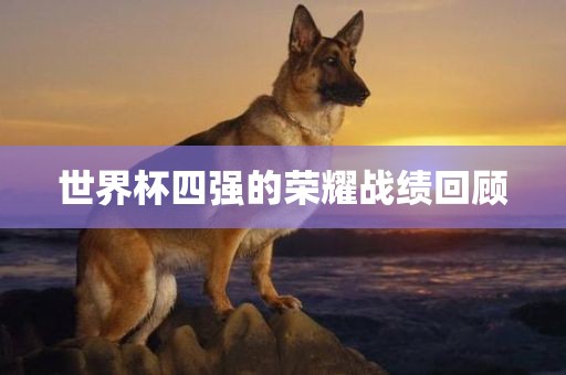 世界杯四强的荣耀战绩回顾