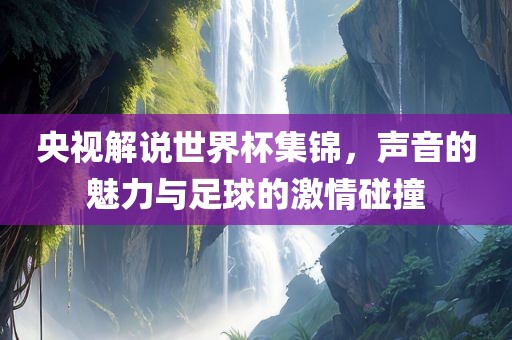 央视解说世界杯集锦，声音的魅力与足球的激情碰撞