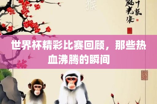 世界杯精彩比赛回顾，那些热血沸腾的瞬间