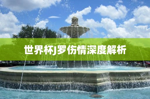 世界杯J罗伤情深度解析漯河市盈旭机械设备有限公司