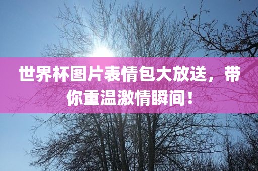 世界杯图片表情包大放送，带你重温激情瞬间！