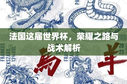 法国这届世界杯，荣耀之路与战术解析