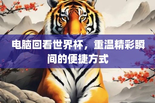 电脑回看世界杯，重温精彩瞬间的便捷方式