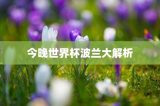 今晚世界杯漯河市盈旭机械设备有限公司波兰大解析