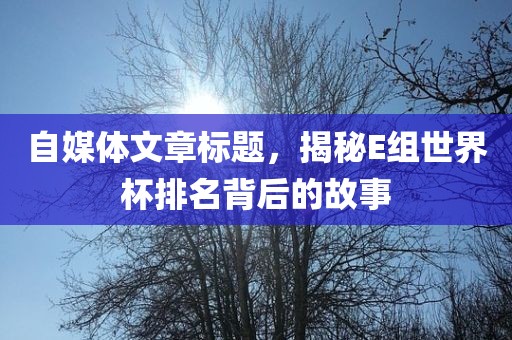 自媒体文章标题，揭秘E组世界杯排名背后的故事漯河市盈旭机械设备有限公司
