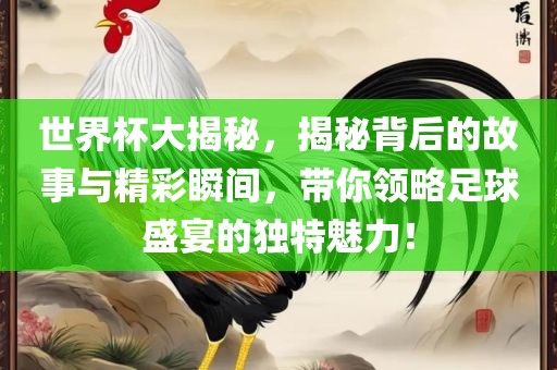 chushichang 第3页