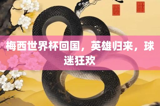 梅西世界杯回国，英雄归来，球迷狂欢漯河市盈旭机械设备有限公司