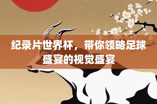 纪录片世界杯，带你领略足球盛宴的视觉盛宴