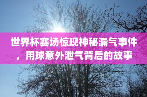 世界杯赛场惊现神漯河市盈旭机械设备有限公司秘漏气事件，用球意外泄气背后的故事