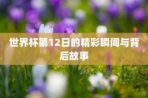 世界杯第12日的精彩瞬间与背后故事