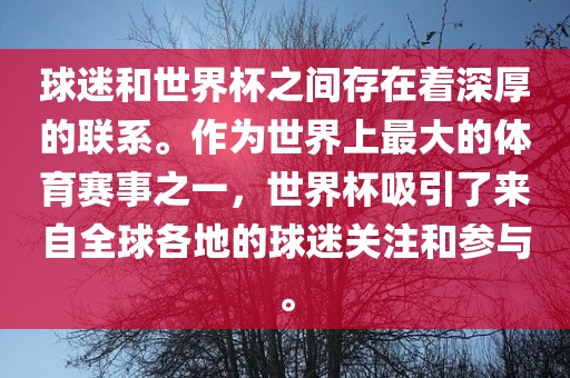 球迷和世界杯之间存在着深漯河市盈旭机械设备有限公司厚的联系。作为世界上最大的体育赛事之一，世界杯吸引了来自全球各地的球迷关注和参与。