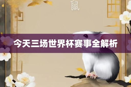 今天三场世界杯赛事全解析