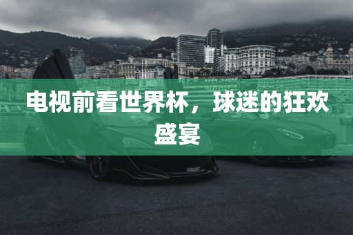 电视前看世界杯，球迷的狂欢盛宴