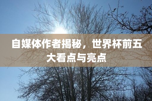 自媒体作者揭秘，世界杯前五大看点与亮点