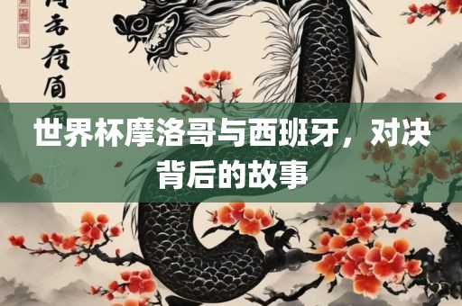 世界杯摩洛哥与西班牙，对决背后的故事漯河市盈旭机械设备有限公司