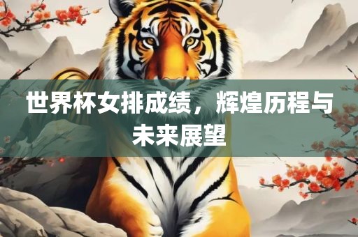 世界杯女排成绩，辉煌历程与未来展望