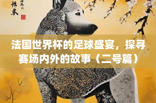 法国世界杯的足球盛宴，探寻赛场内外的故事（二号篇）