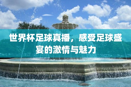 世界杯足球真播，感受足球盛宴的激情与魅力