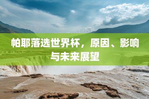 帕耶落选世界杯，原因、影响与未来展望