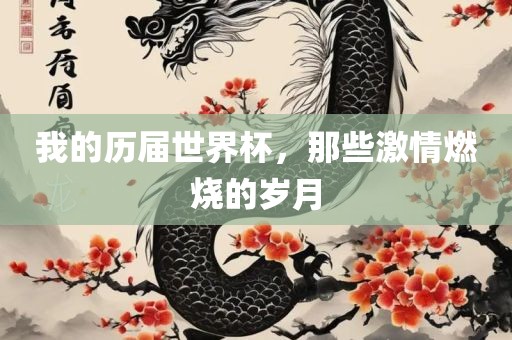 我的历届世界杯，那些激情燃烧的岁月