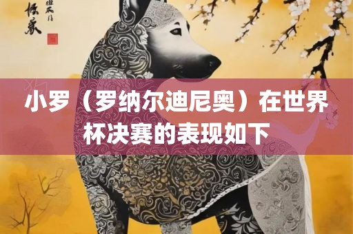 小罗（罗纳尔迪尼奥）在世界杯决赛的表现如下