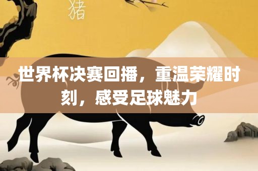 世界杯决赛回播，重温荣耀时刻，感受足球魅力