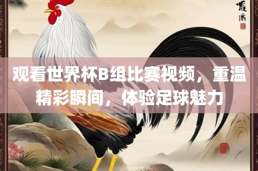 观看世界杯B组比赛视频，重温精彩瞬间，体验足球魅力