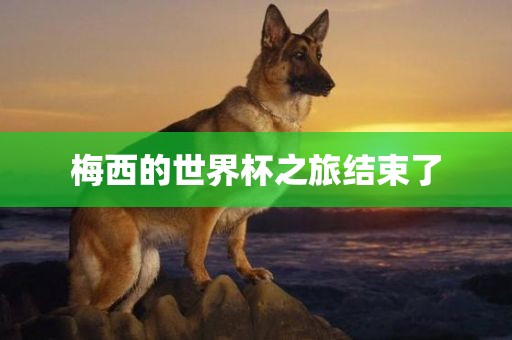 梅西的世界杯之旅结束了