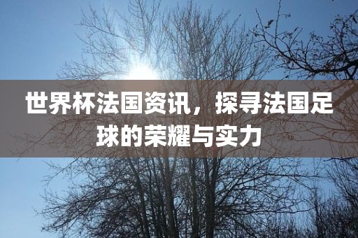 世界杯法国资讯，探寻法国足球的荣耀与实力