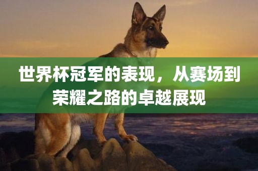 世界杯冠军的表现，从赛场到荣耀之路的卓越展现