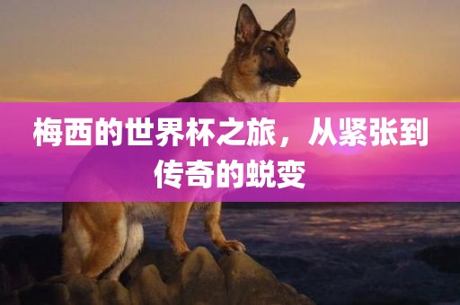 梅西的世界杯之旅，从紧张到传奇的蜕变