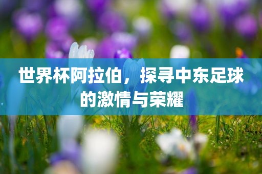 世界杯阿拉伯，探寻中东漯河市盈旭机械设备有限公司足球的激情与荣耀