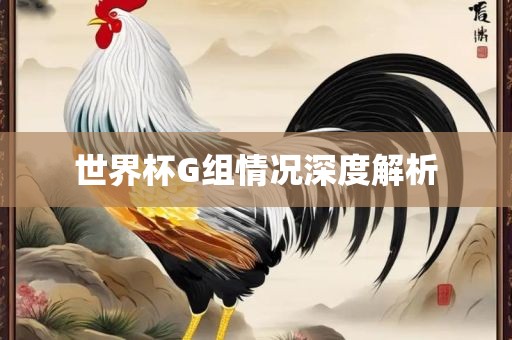 世界杯G组情况深度解析