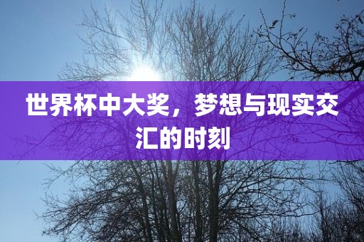 世界杯中大奖，梦想与现实交汇的时刻