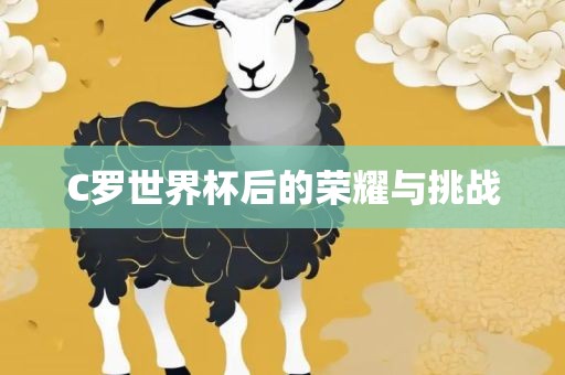 C罗世界杯后的荣耀与挑战漯河市盈旭机械设备有限公司