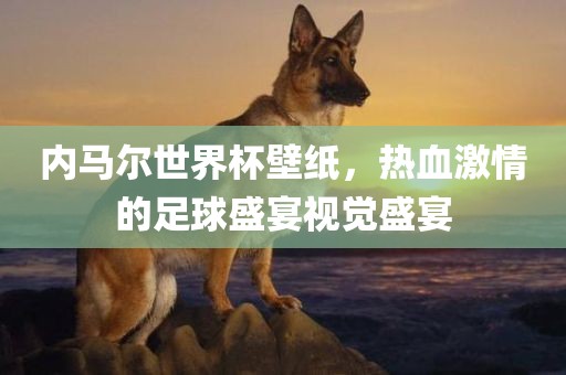 内马尔世界杯壁纸，热血激情的足球盛宴视觉盛宴漯河市盈旭机械设备有限公司