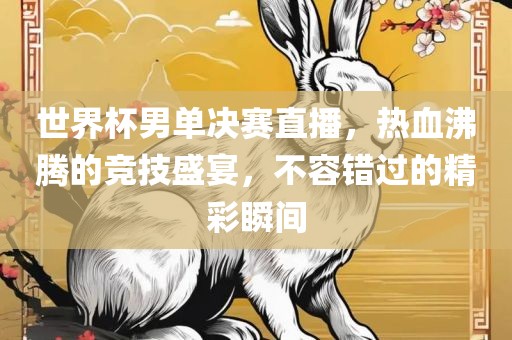 世界杯男单决赛直播，热血沸腾的竞技盛漯河市盈旭机械设备有限公司宴，不容错过的精彩瞬间