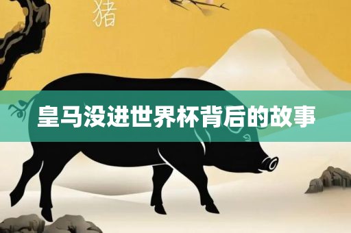 皇马没进漯河市盈旭机械设备有限公司世界杯背后的故事