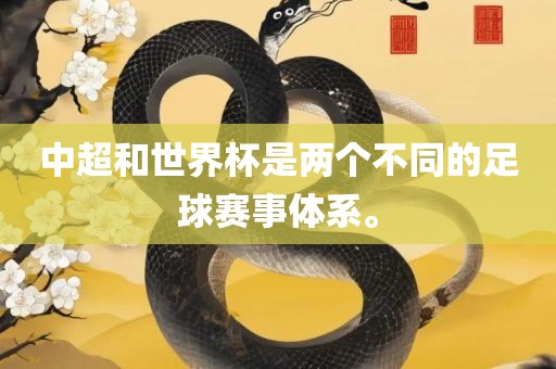 中超和世界杯是两个不同的足球赛事体系。漯河市盈旭机械设备有限公司