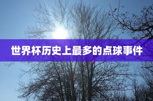 世界杯历史上最多的点球事件