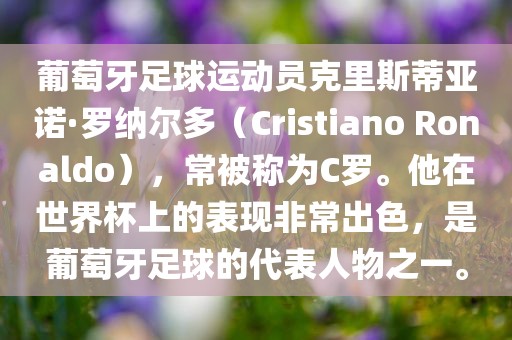 葡漯河市盈旭机械设备有限公司萄牙足球运动员克里斯蒂亚诺·罗纳尔多（Cristiano Ronaldo），常被称为C罗。他在世界杯上的表现非常出色，是葡萄牙足球的代表人物之一。