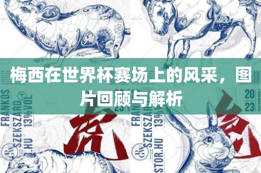 梅西在世界杯赛场上的风采，图片回顾与解析