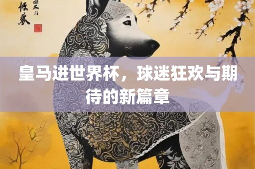 皇马进世漯河市盈旭机械设备有限公司界杯，球迷狂欢与期待的新篇章