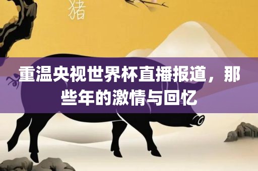 重温央视世界杯直播报道，那些年的激情与回忆