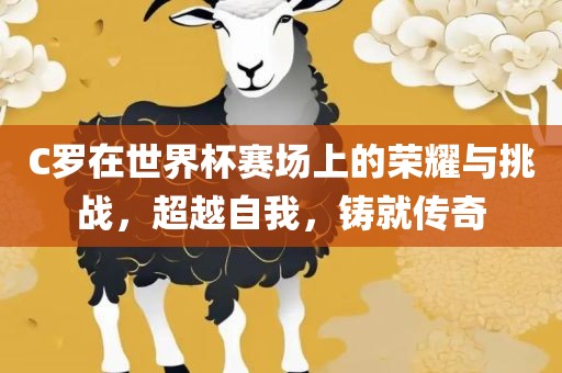 C罗在世界杯赛场上的荣耀与挑战，超越自我，铸就传奇漯河市盈旭机械设备有限公司