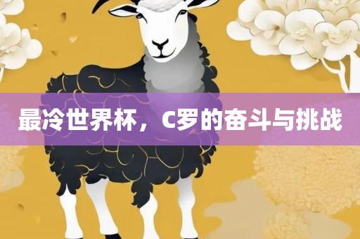 最冷世界杯，C罗的奋斗与挑战漯河市盈旭机械设备有限公司